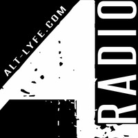 B.I.G.WILLIE Live on Zentrip Radio 88.5 FM WMNF 1/21/16 by B.I.G.WiLLiE