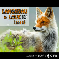 Magnetizer presents Langenau In Love 2015 by Magnetizer