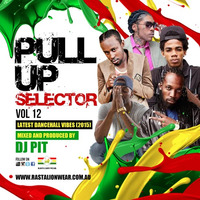 PULL UP SELECTOR VOL 12 LATEST DANCEHALL VIBE 2015 MIX BY DJ PIT by DJ PIT