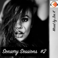 Sensory Sessions #2 by Zen K