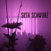 SETH SCHWARZ @ Kopenhagen // KB18 by Seth Schwarz