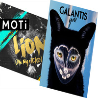 Galantis vs. MOTi – You vs. Lion (Erik-R Mash-up) by Erik Fidem
