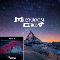 Mushroom Cake - Winter Lights (Original Mix) Free Download by Mushroomcake