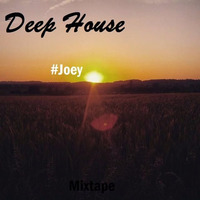 DeepHouseMix_December2015#Joey by Joey Steinbach