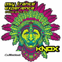 PSY TRANCE EXPERIENCE 11 MIXED BY KNOX by BRANDON KNOX