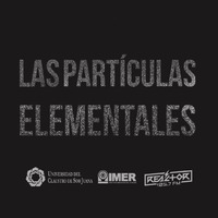 Las Partículas Elementales 003. Pasadizos by ElClaustro