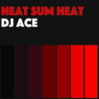 Neat Sum Heat by DJ Ace