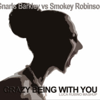 Gnarls Barkley vs Smokey Robinson - Crazy Being With You (Luca Rubino Mashup) by Luca Rubino Mashup
