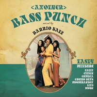 M I X  - Bass Punch Volume 2 by Barrio Katz