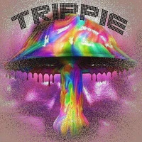Spring Fest Competition Mix by Trippie