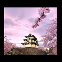 H.O'Kara - Sakura .MP3 by H O'Kara