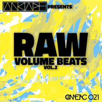 Raw Volume Beats Vol.2