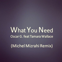 Oscar G feat Tamara Wallace- What You Need  ( Michel Mizrahi Remix) by Michel Mizrahi