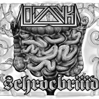 SCHROCBRIIID by 10JONK-T