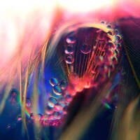 Ken Fusion - Dissociative Anaesthesia Vol 3 by Ken Fusion