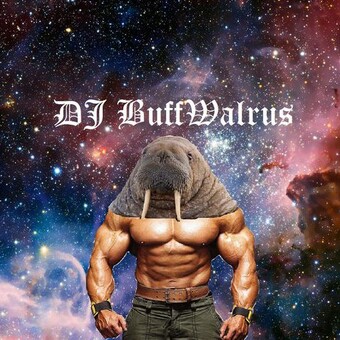 DJBuffWalrus