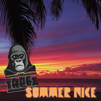The tAPEz - Summer Nice by The tAPEz