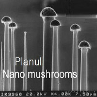 PLANUL - NanoMushrooms by PLANUL