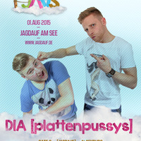 DIA- Plattenpussys Live @ JAAS 2015 by DIA-plattenpussys