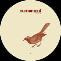 Sebastien Bardy Floating Birds (Arno E. Mathieu Rn7 Remix) (Clip Preview) by numomentrecordings