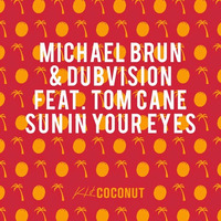 Michael Brun &amp; DubVision Feat. Tom Cane – Sun In Your Eyes (Ripl Edit) by Ripl