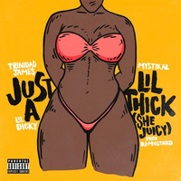 Trinidad James feat. Mystikal &amp; Lil Dicky - Just A Lil Thick (DJ LILBRIEH Extended) by DJ LILBRIEH