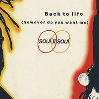 Soul II Soul Feat Snoop - Back To The Dogg Life - (driberlah Soulshizzle Mash) by driberlah