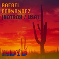 Rafael Fernandez - Nu Disco Your Disco Exclusive Mix (June 2014) by NDYD Records