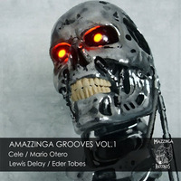 Amazzinga Grooves vol.1