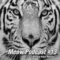 Roque Rodriguez - Meow Podcast #13 by Roque Rodriguez