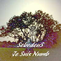 Sebedeus - Here In Body (No Quality Control) - 08 Je Suis Numb by Sebedeus