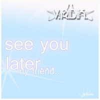 V.RIDIK. See You Later...My Friend... [V.RIDISK records.©]. France. by V.RIDIK.