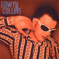 Edwyn Collins - Superficial Cat (Red Snapper Remix) by Red Snapper