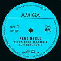 Peed Neslø @ PostPartum Recording, September 2015 by Peed Neslø