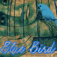 Blue Bird by Dan C E Kresi