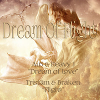 Dream Of Flight (Au5 & Heavy J / Tristam & Braken) EDM Mashup by The Mashup Wyvern