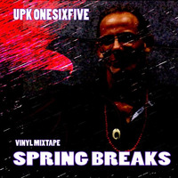 Spring Breaks - Enjoy the Sun - Vinyl Mixtape by UPK Onesixfive by UPK Onesixfive