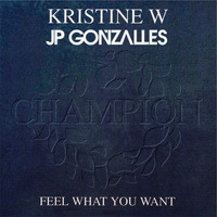 Feel What You Want'2014 (JP Gonzalles Remix) by Jp Gonzalles