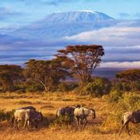 "Facing Kilimanjaro" by Piotr Nowotnik