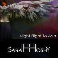 SaraHHoshY - Night Flight To Asia by SaraHHoshY