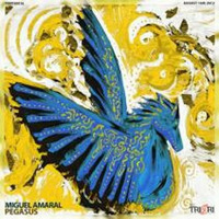 Miguel Amaral - Pegasus (Alik Leto Remix) by Alik Leto