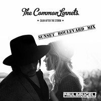 The commin Linnets - Calm after the storm (Paul Brugel Sunset extended mix) by DJ, Producer:  Paul Brugel