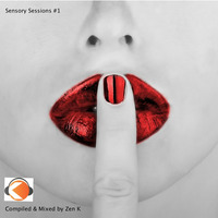 Sensory Sessions #1 by Zen K