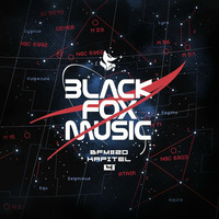 The Dark Side Of The Moon - BlackFoxMusic Kapitel 4 (BFM020) - vinyl and digital by Masterton