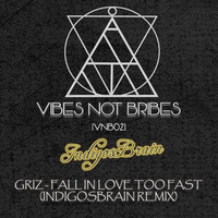 Vibes not Bribes Exclusive Tracks
