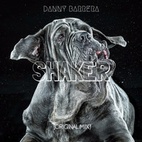 SHAKER (Original Mix) by Danny Barrera