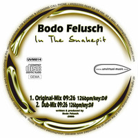 UVM014A - Bodo Felusch - In The Snakepit (Original Mix) by Unvirtual-Music