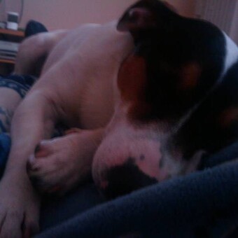 DjStartroop-Productions