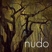 Everybody is a DJ Spring Chillout Set by nudo