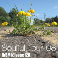 Soulful flour 08 by fbfive